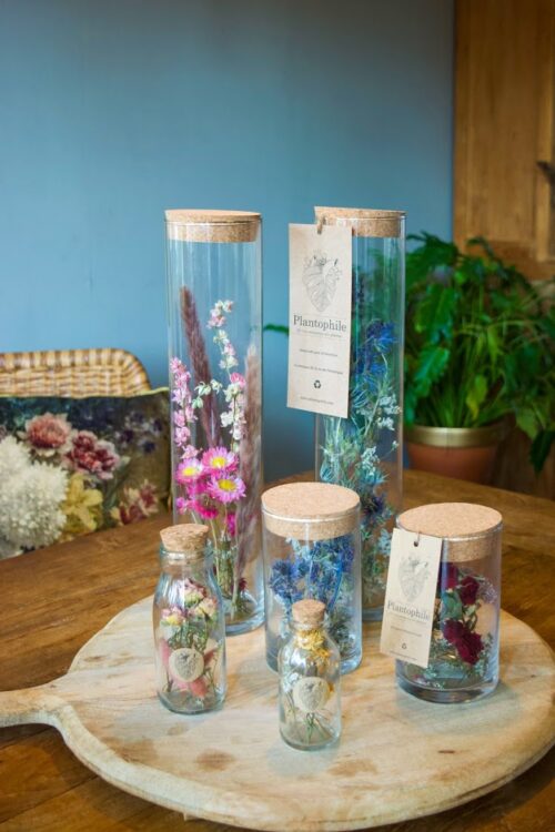 Large Vase with Dried Flowers - Shop Vase with Dried Flowers