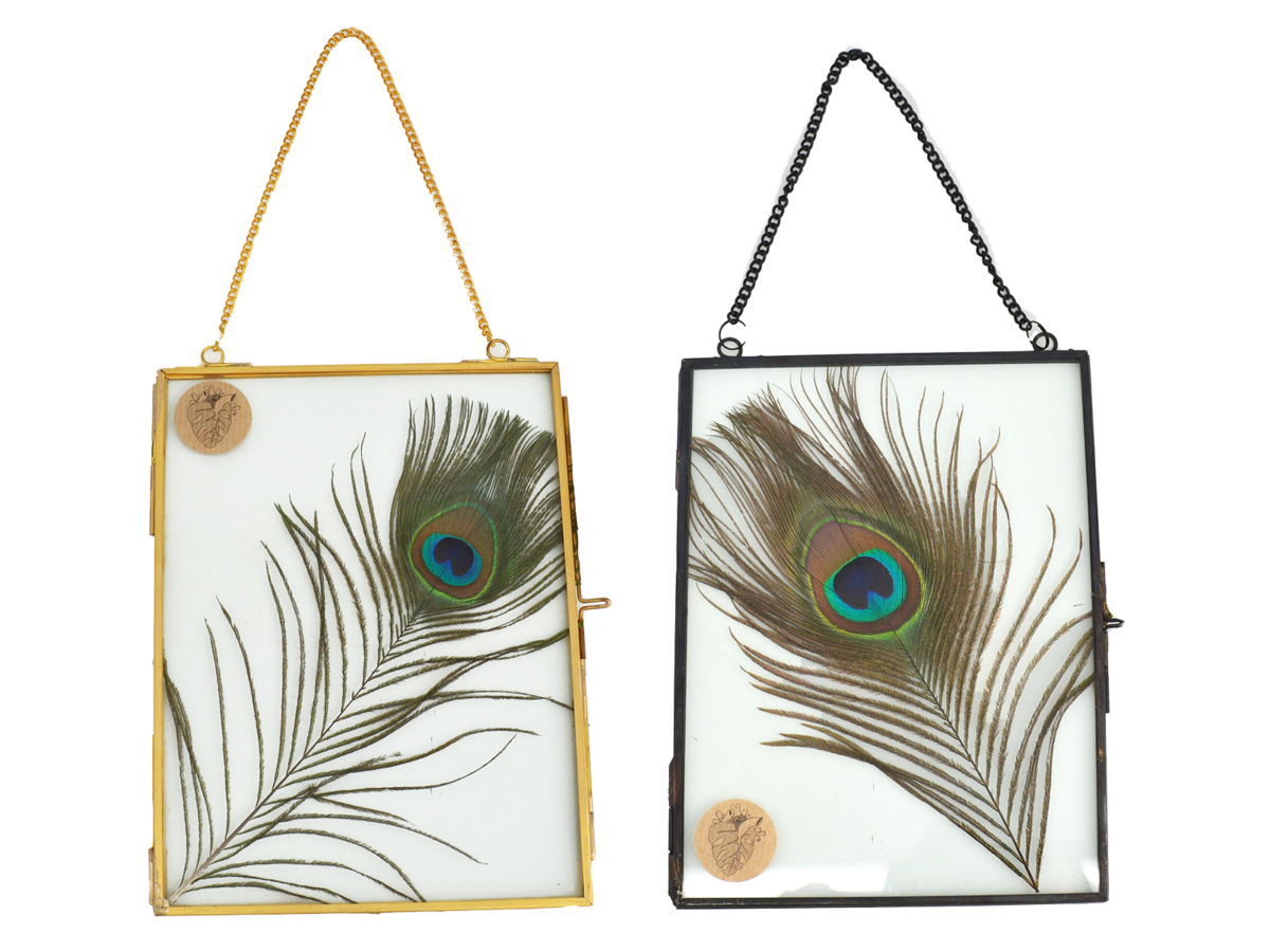 peacock-photo-frame-shop-peacock-feather-printed-vase